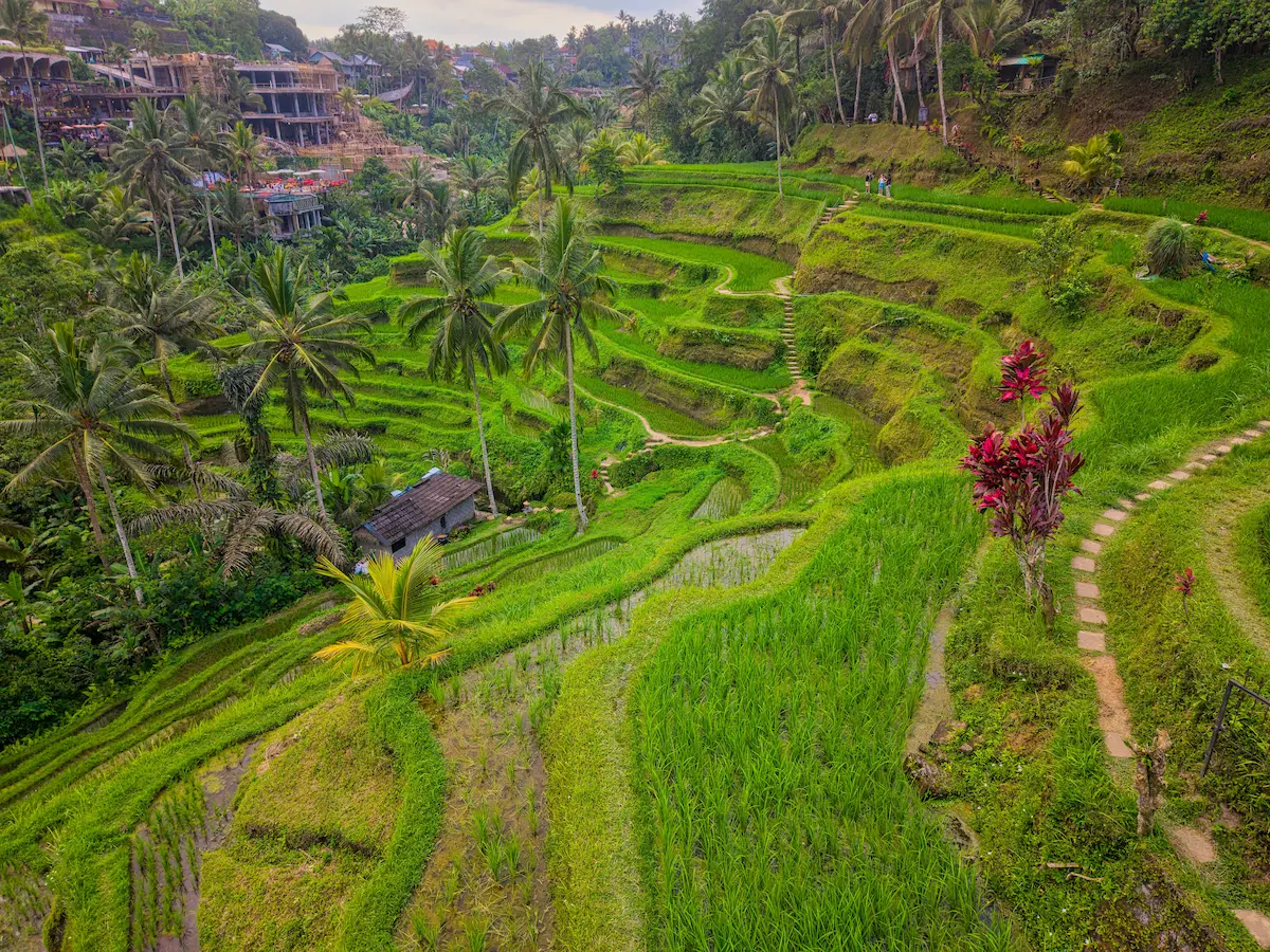 Indonesia - destination