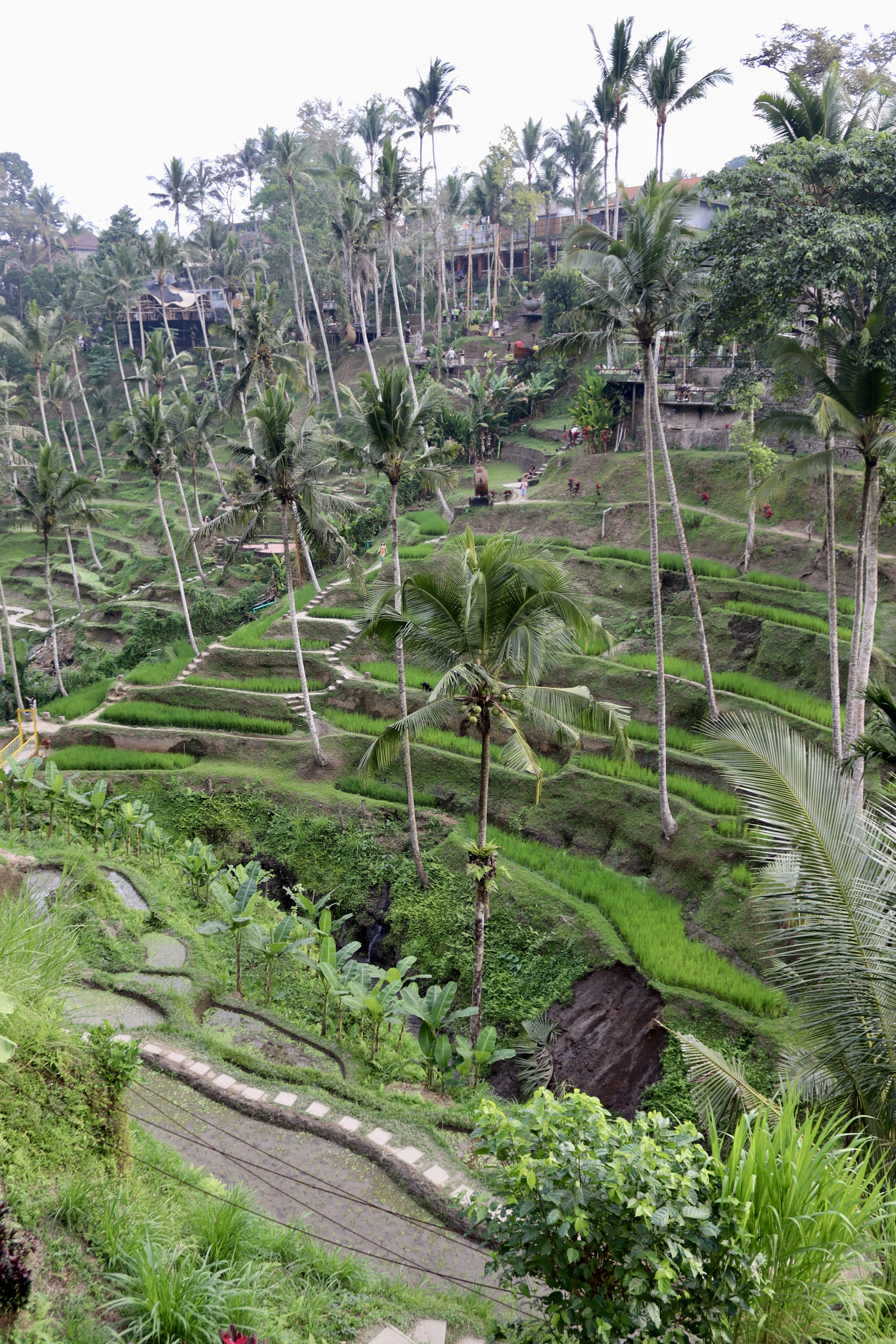 Bali: la pace tra i templi