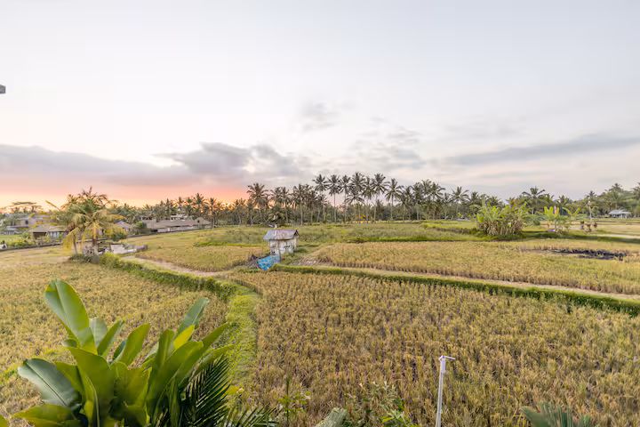 Peace among the temples of Bali 2026 — Photo 2