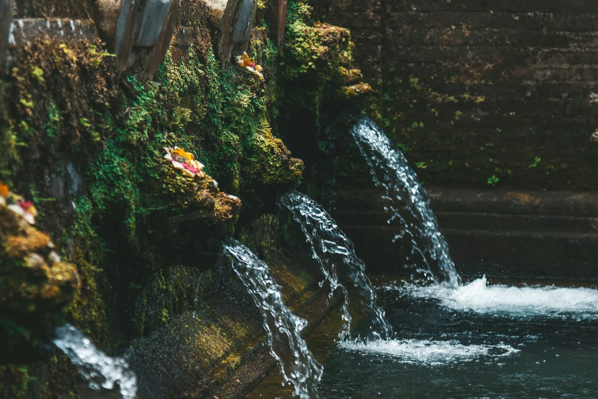 Bali : la paix entre les temples