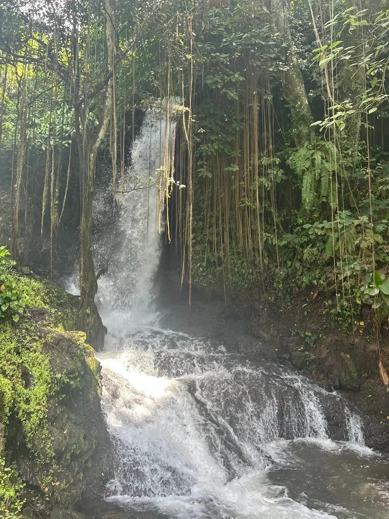 Bali: Peace Among the Temples — Photo 5