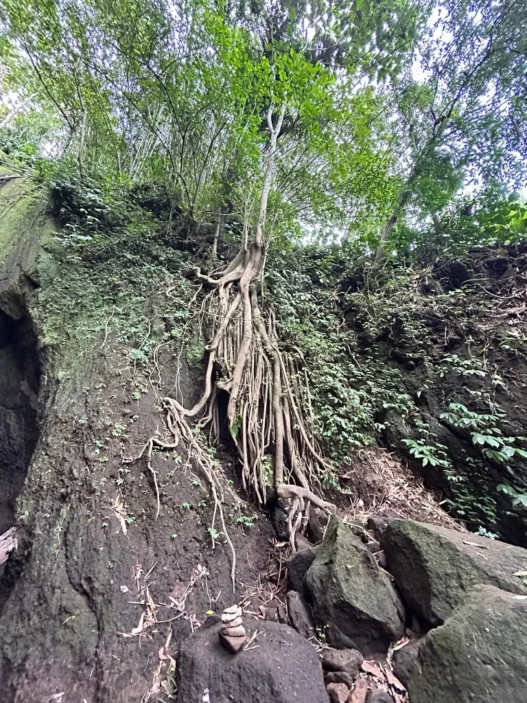 Nearby Waterfalls — Photo 4