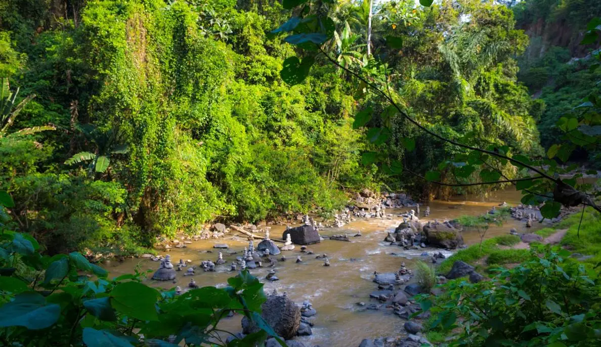 The Ayung River Gorge — Photo 2