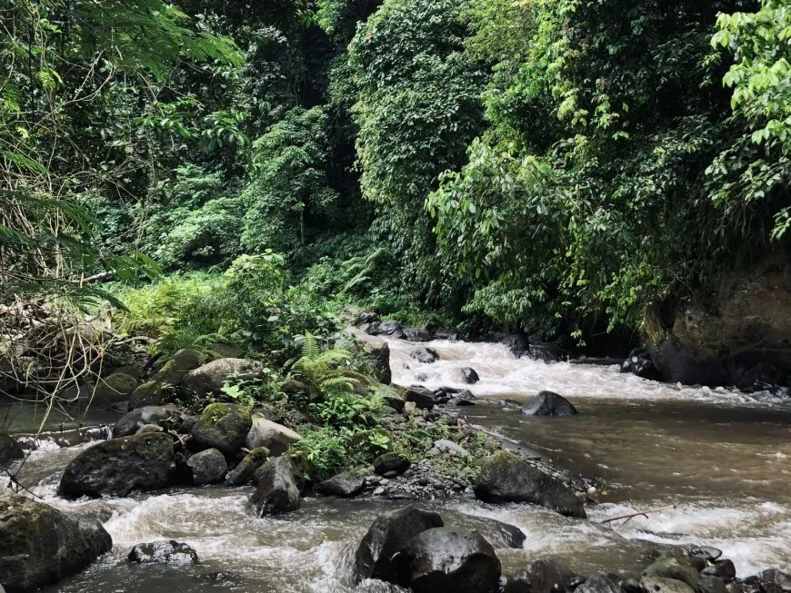 The Ayung River Gorge — Photo 3