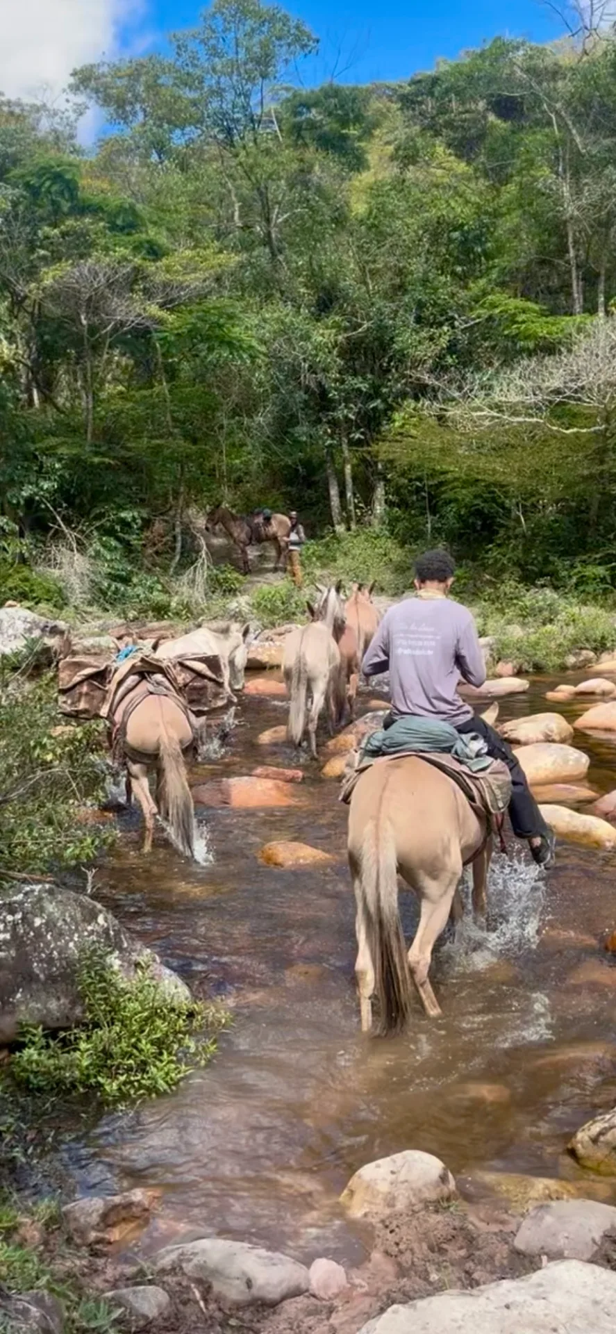 Muli carichi attraversano un torrente nella Vale do Pati