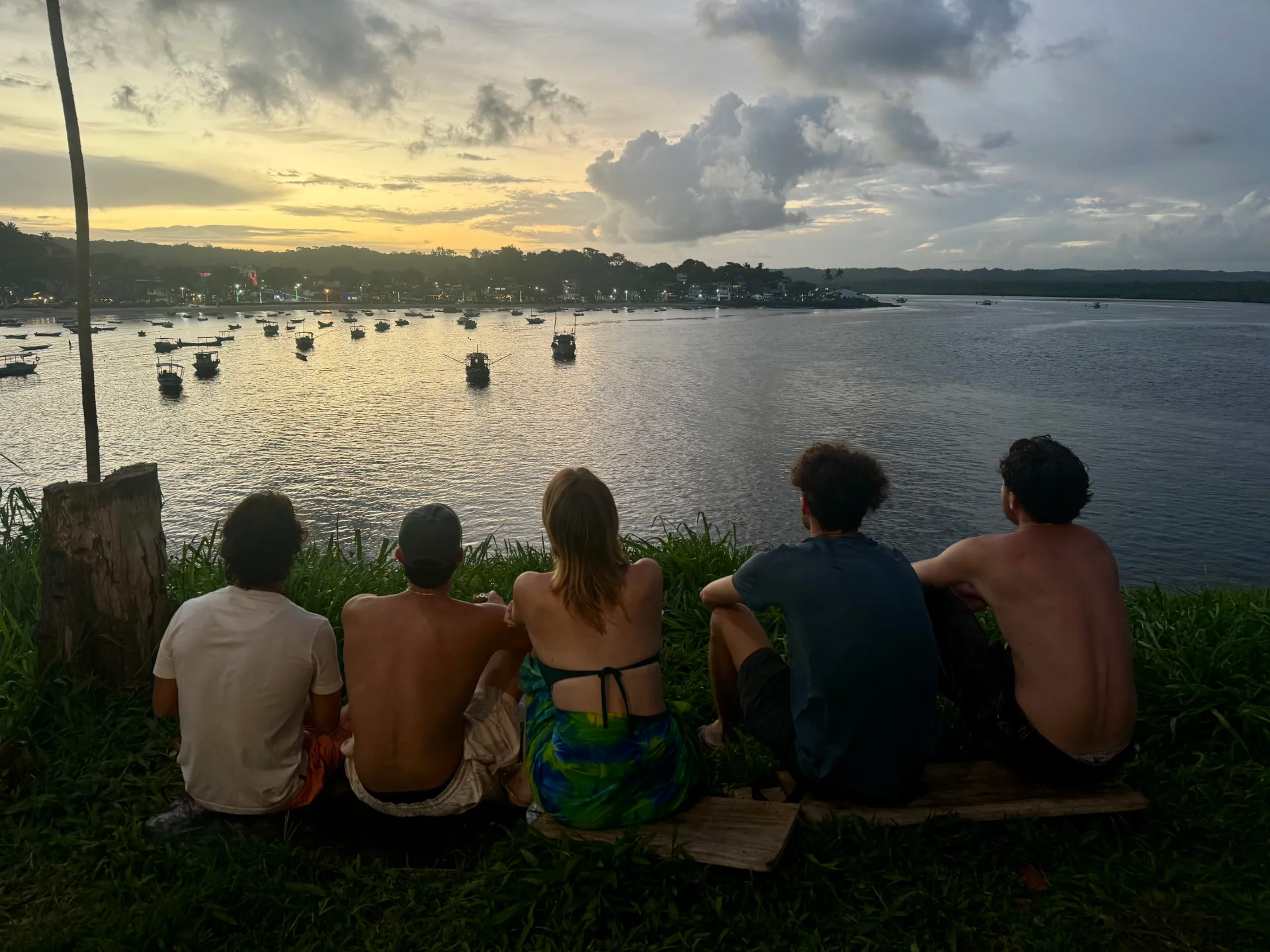 Cinque persone sedute sull'erba guardano la baia al tramonto