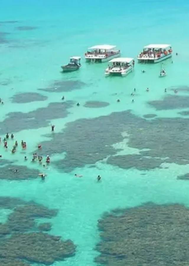 La costa: Maracaípe e Japaratinga, Porto de Galinhas e Maragogi