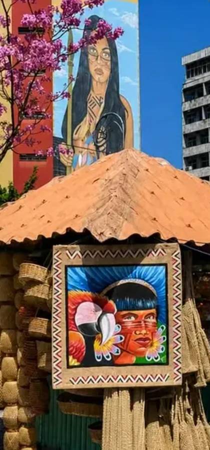 Amazzonia e Nordeste: Fiume, Festa e Oceano — Foto 2
