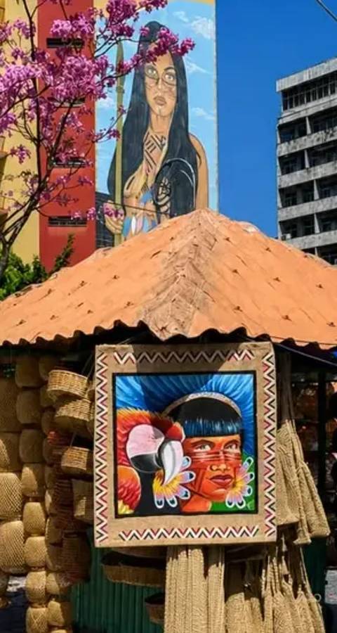 Manaus: la porta della foresta — Foto 1