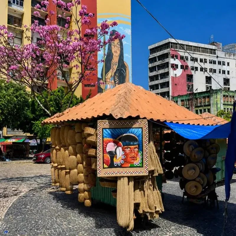 Manaus: la porta della foresta — Giorno 1