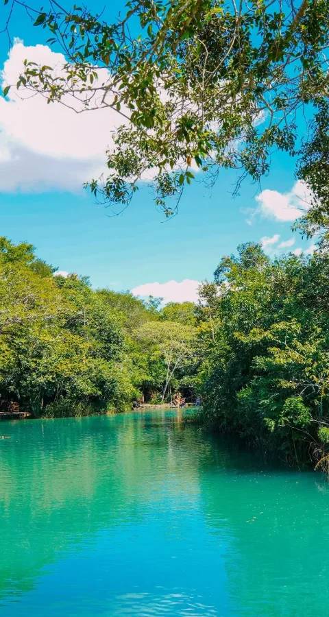 Carneiros, where the river meets the sea — Photo 5
