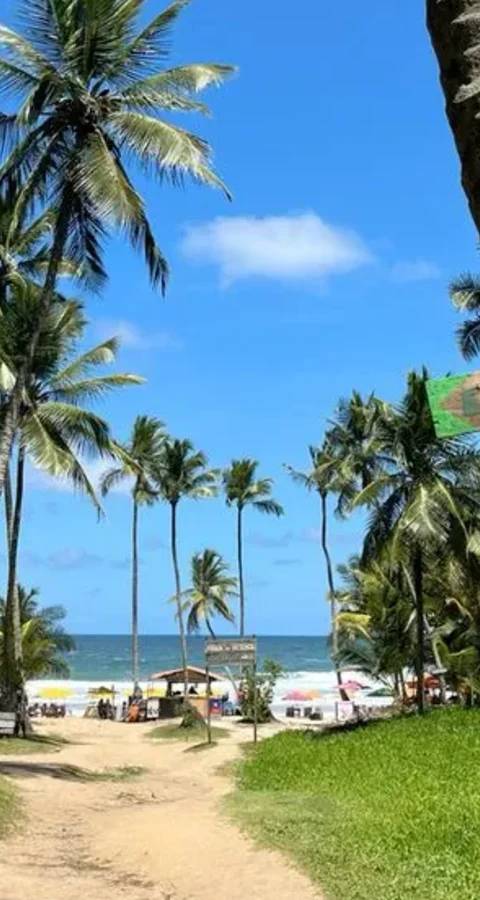 Il Pontal di Maracaípe — Foto 1