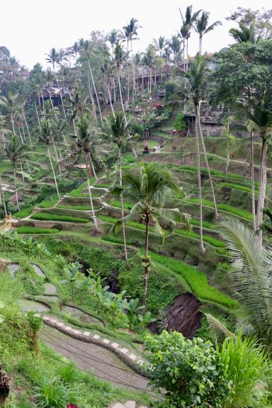 Bali: la pace tra i templi