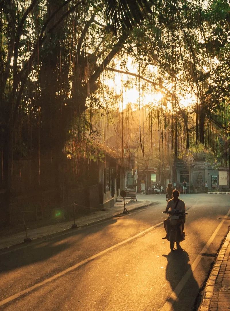 Una strada alberata nella luce del mattino, con un motorino