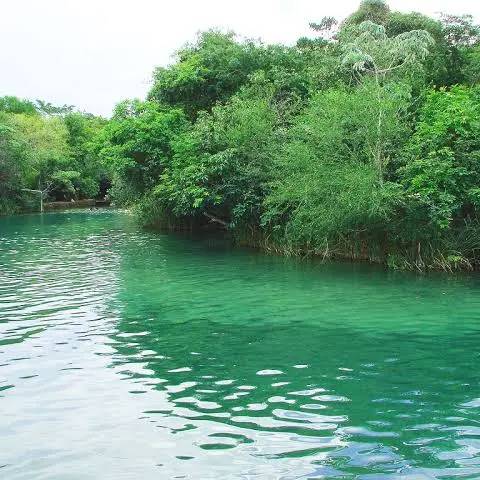 Carneiros, where the river meets the sea — Photo 6
