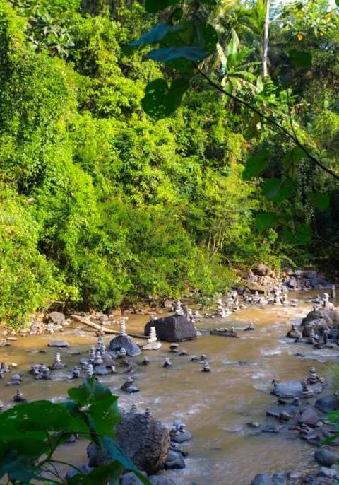 O desfiladeiro do Rio Ayung — Foto 2