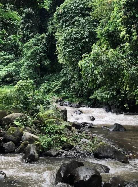 O desfiladeiro do Rio Ayung — Foto 3