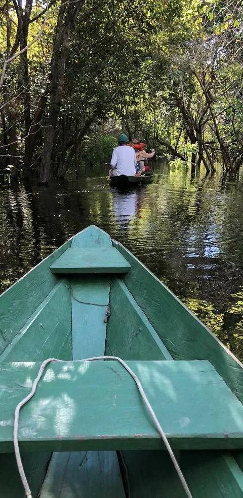 Il respiro della foresta — Foto 4