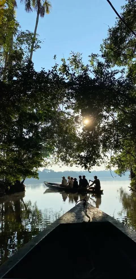 Il respiro della foresta — Foto 5