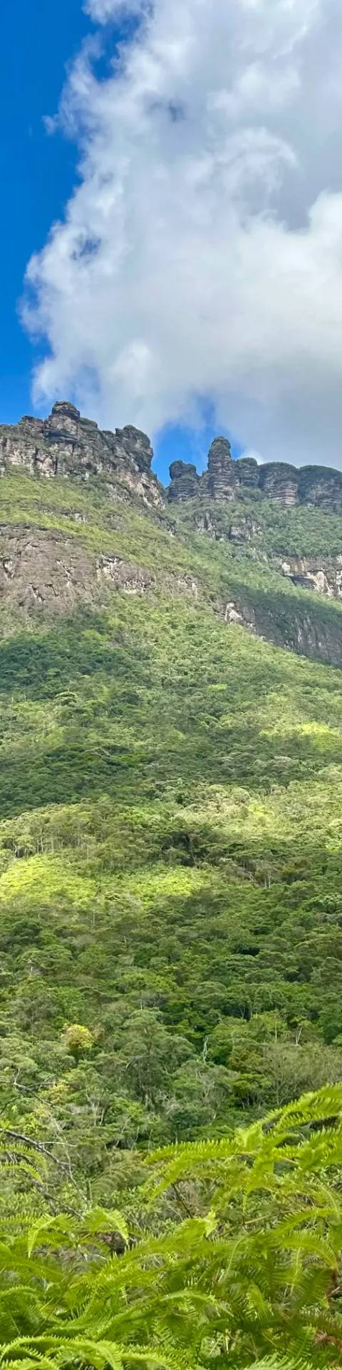 Vale do Pati, day 2 (8 km) — Photo 2