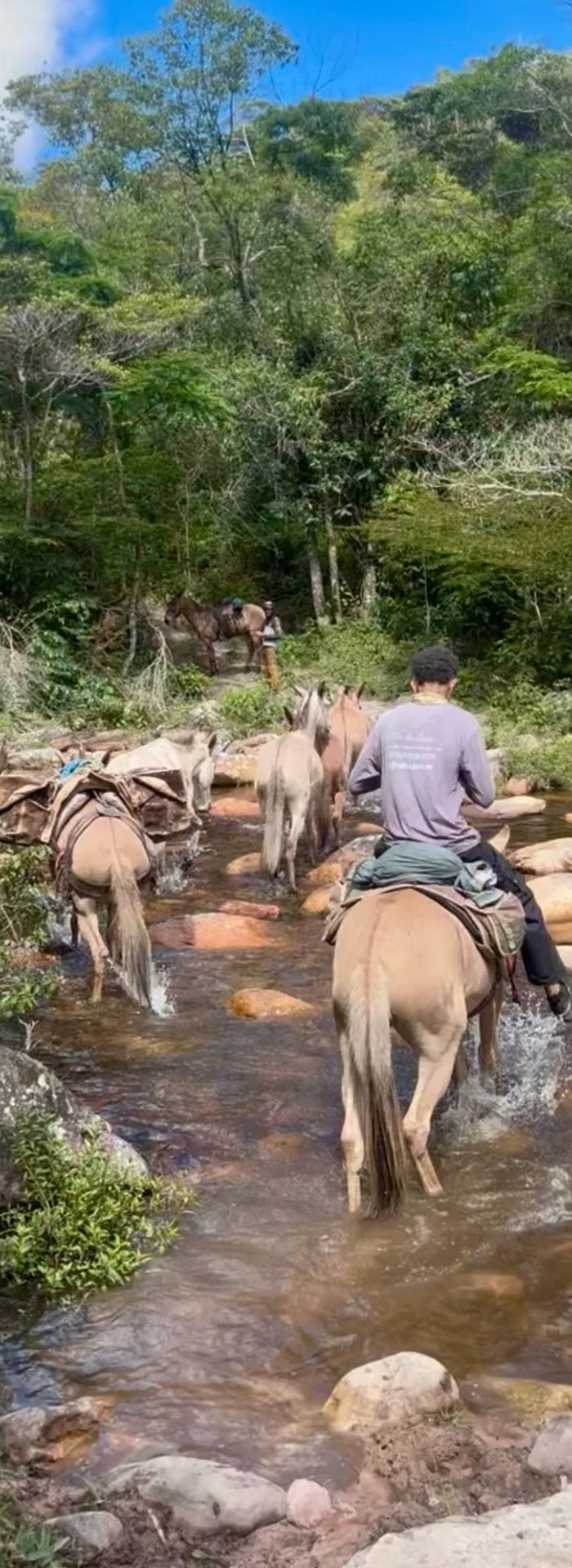 Muli carichi attraversano un torrente nella Vale do Pati