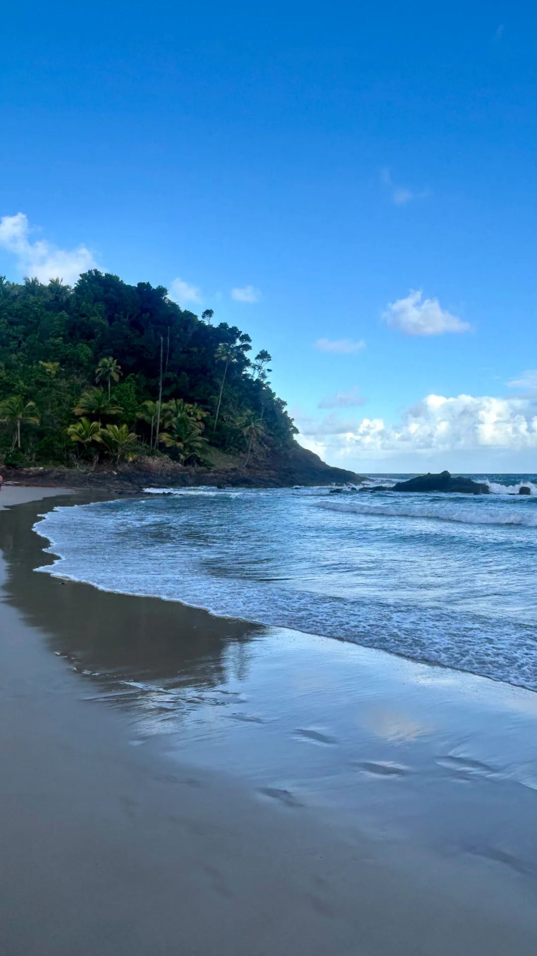 Ocean and Forest — Giorno 8
