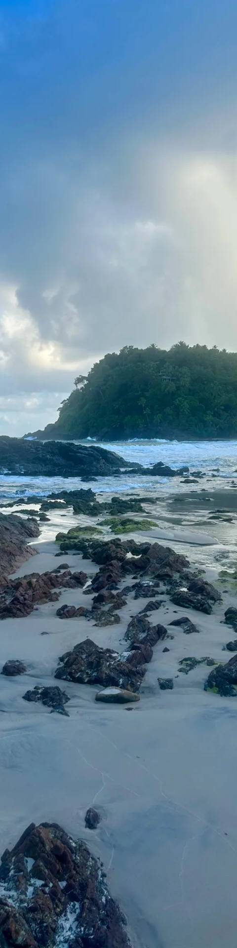 Ocean and Forest — Photo 2