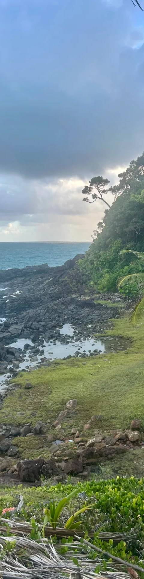 Ocean and Forest — Photo 3